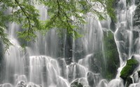 世界羽毛球团体赛赛后志愿者成长课程获得资助，羽毛球团体大赛